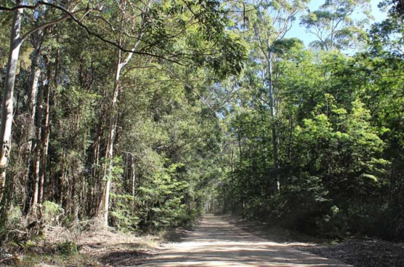 Watagans National Park - Top Rated Tourist Attraction Places in ...